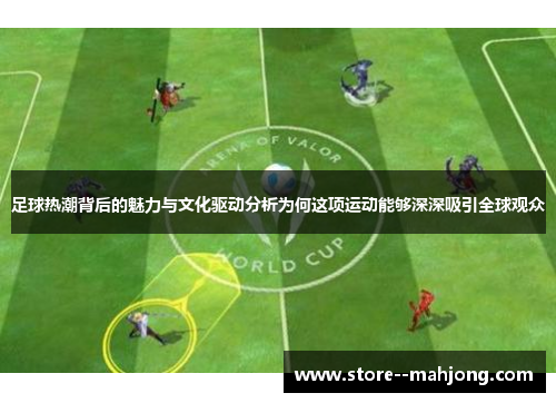 足球热潮背后的魅力与文化驱动分析为何这项运动能够深深吸引全球观众